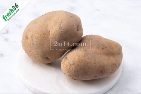 Kumpirlik Patates